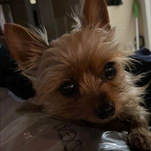 Meet your Posher, Veronica